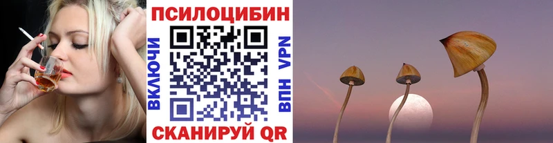 Галлюциногенные грибы MAGIC MUSHROOMS  Купить закладки  Таганрог 